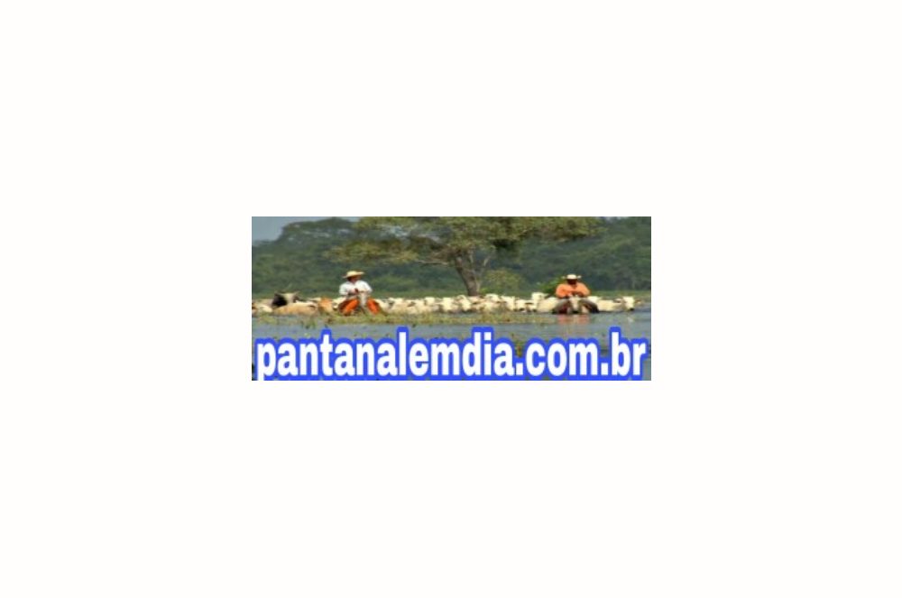 Pantanal em Dia